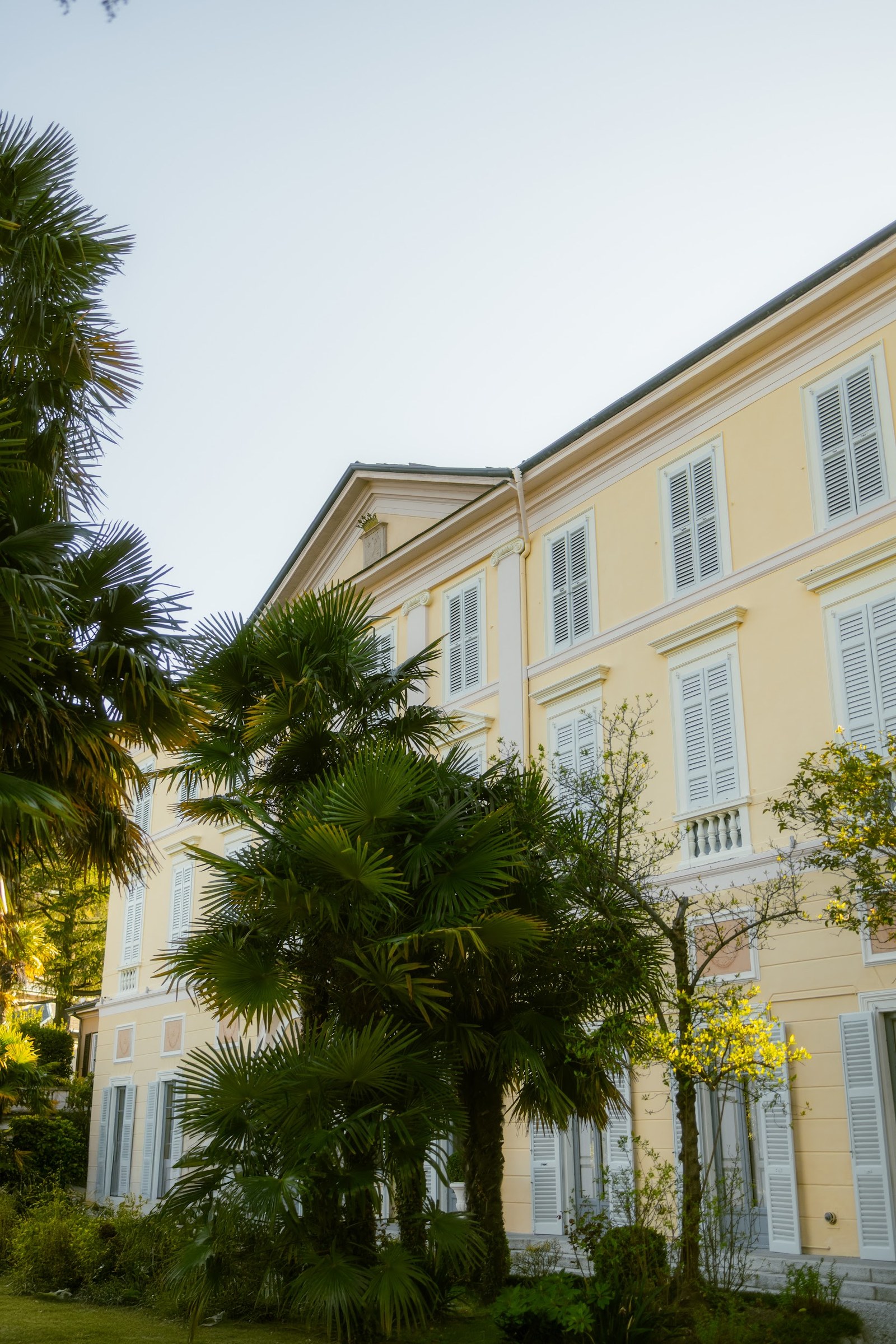 Villa Revel Parravicini framed by palm trees